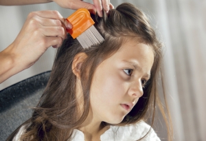 Everything You Need to Know About Head Lice Removal Products